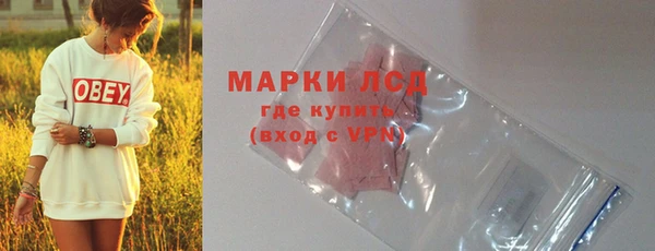стаф Володарск