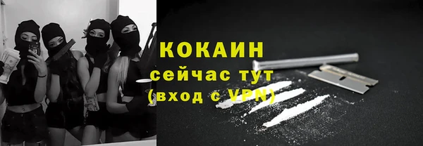 стаф Володарск