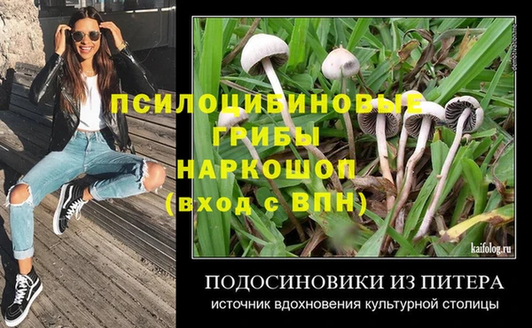 МДПВ Вязники