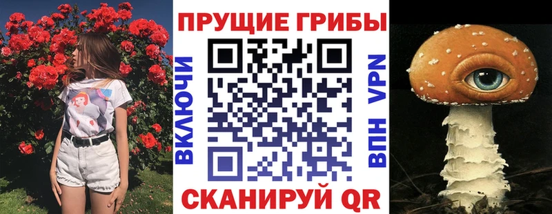 Псилоцибиновые грибы GOLDEN TEACHER  дарнет шоп  Салават 